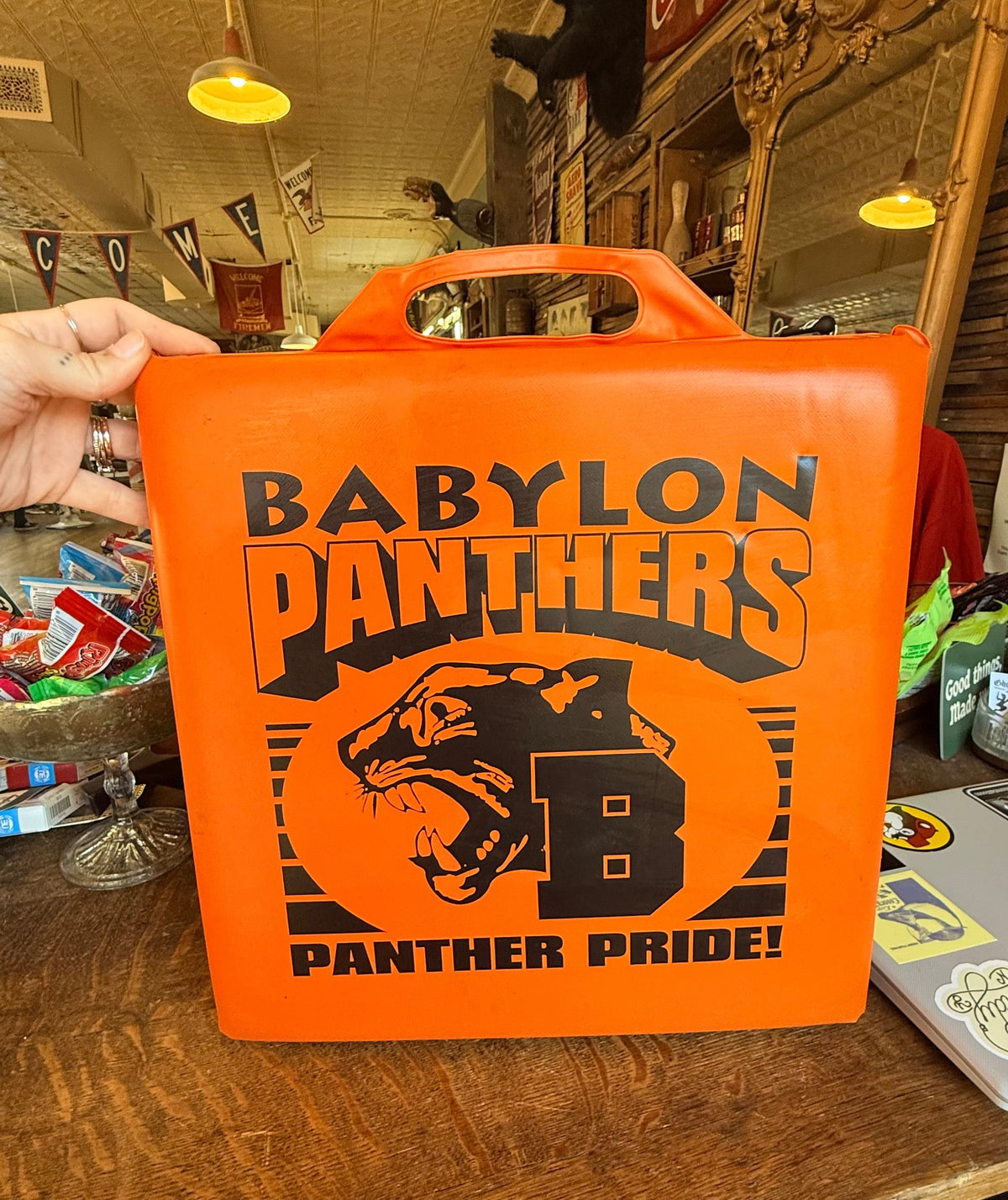 2000s Babylon Panthers Cushion