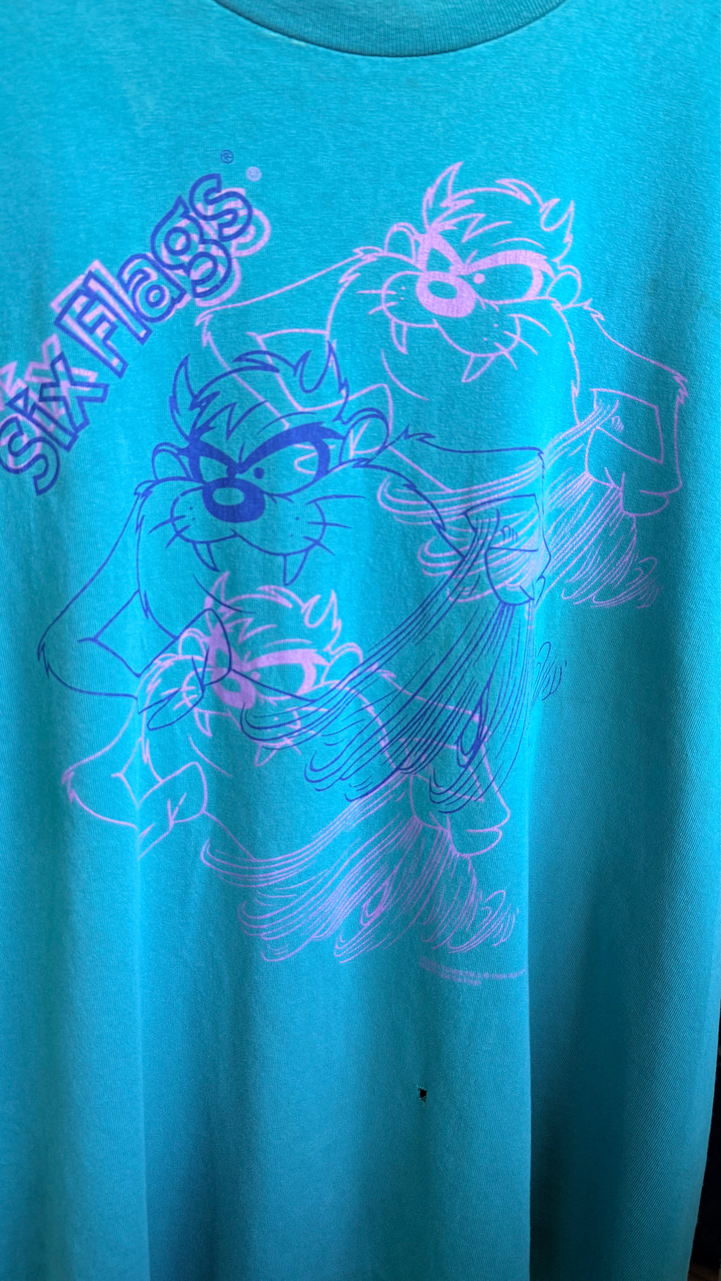 1995 Taz Six Flags Tee - L