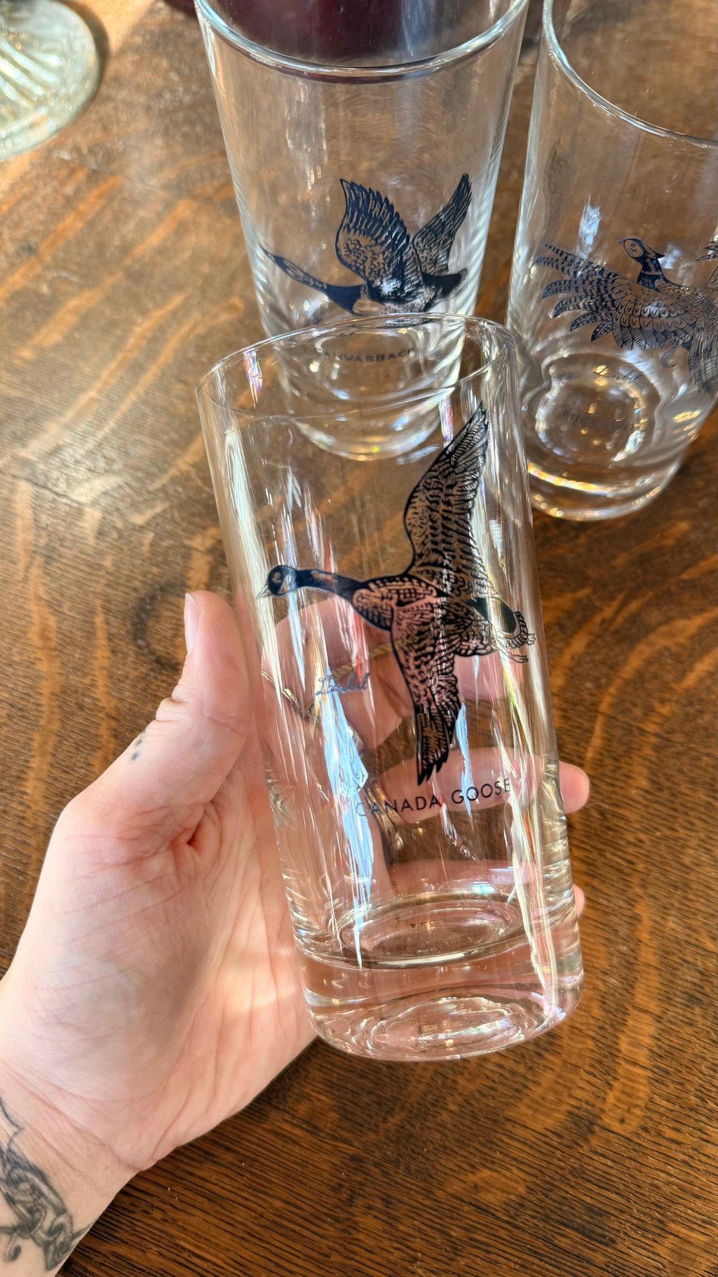 Lanbil Bird Glasses