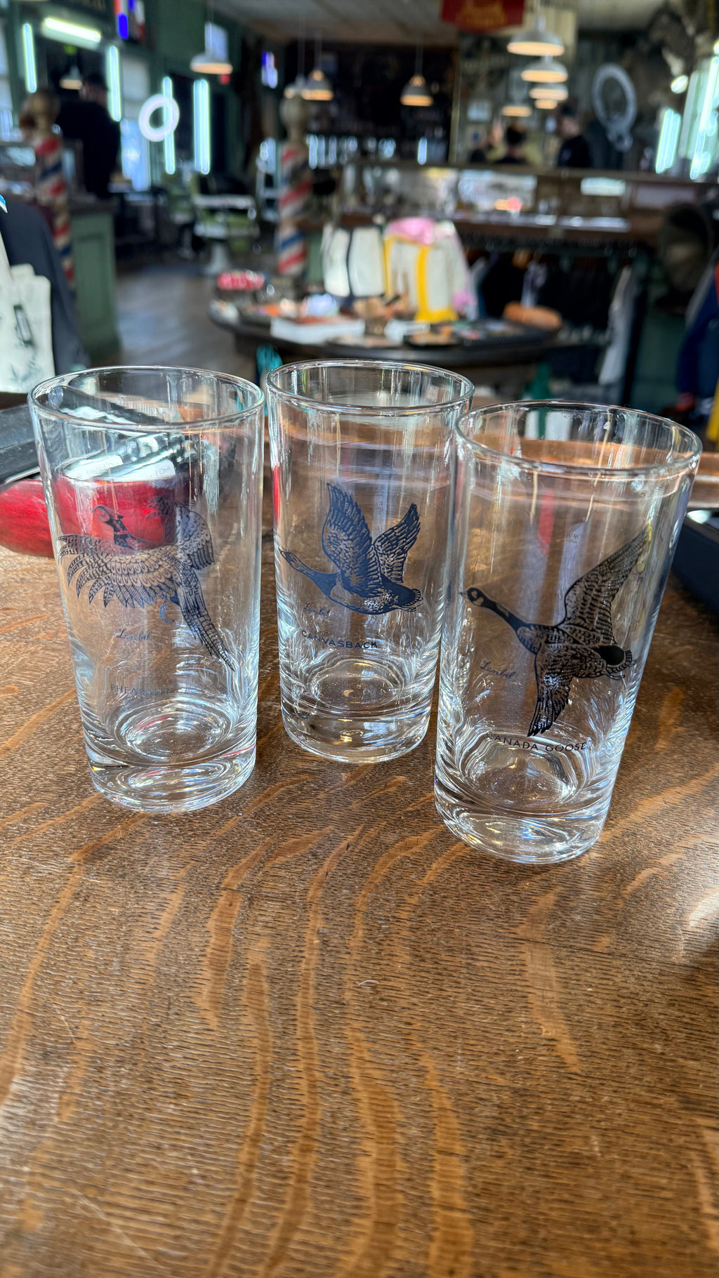 Lanbil Bird Glasses