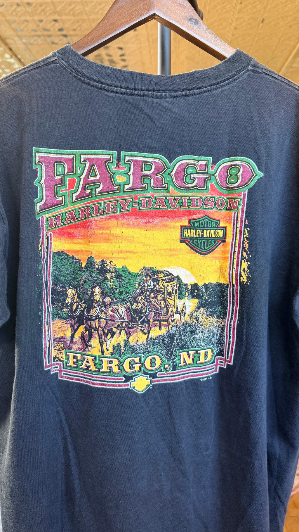 2001 Harley Davidson Fargo Tee