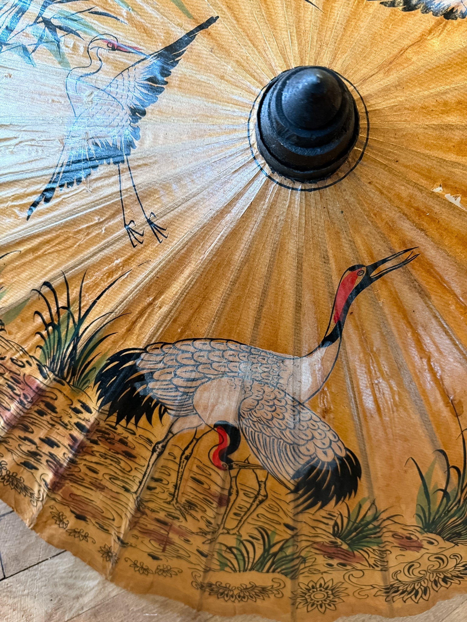 Hand Painted Bamboo Parasol