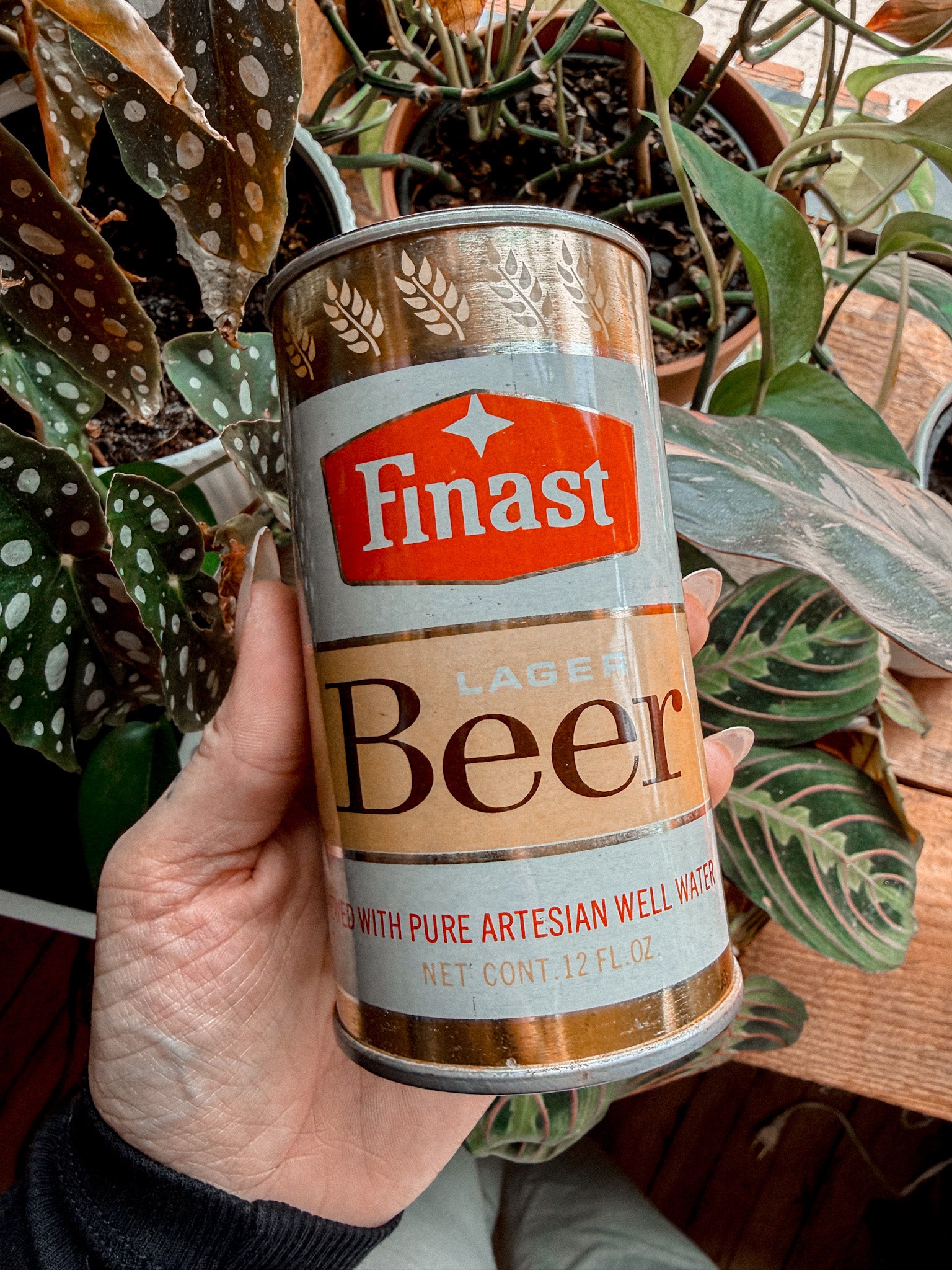 Finast Beer Can