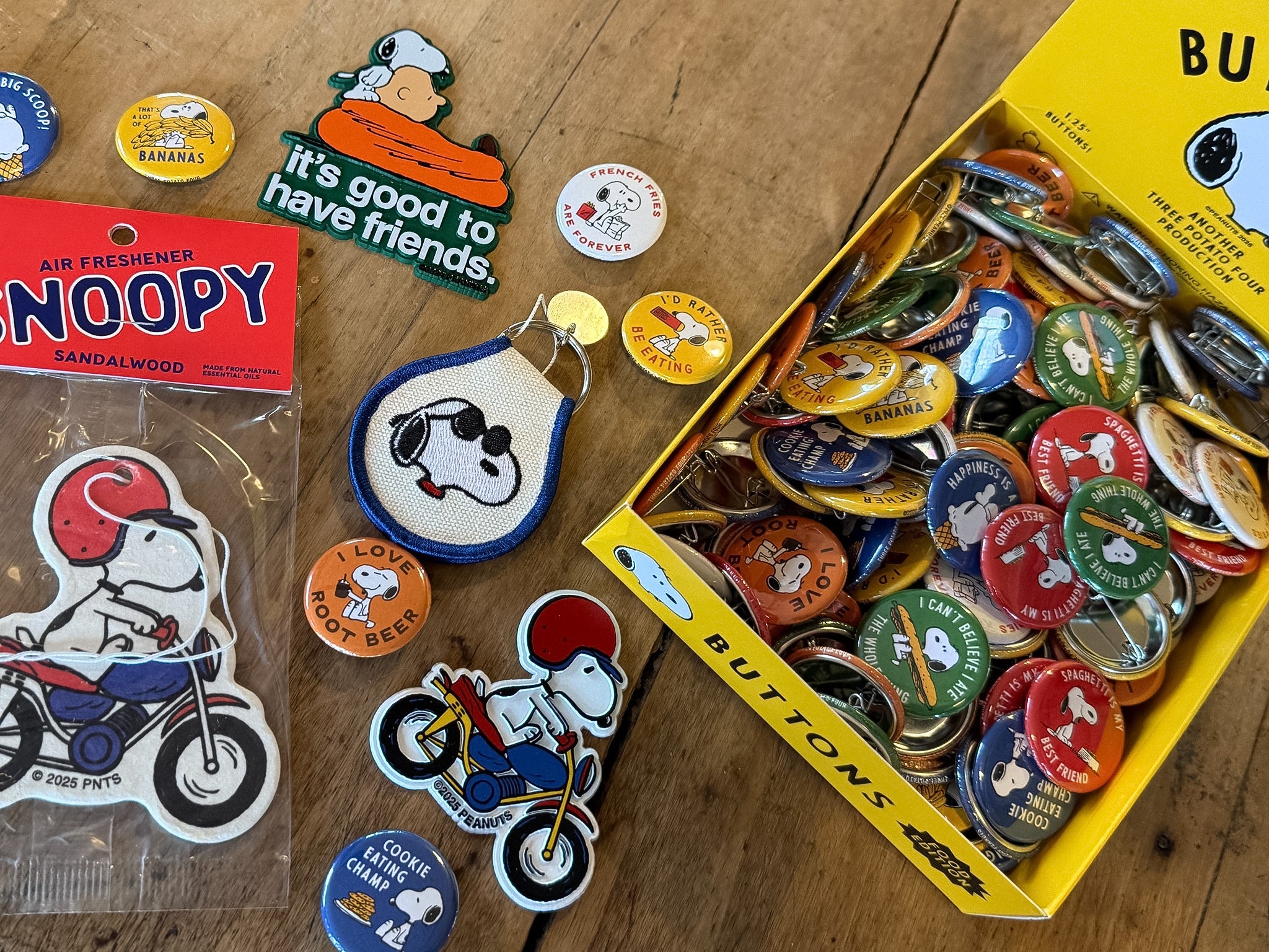 Snoopy Friends Magnet