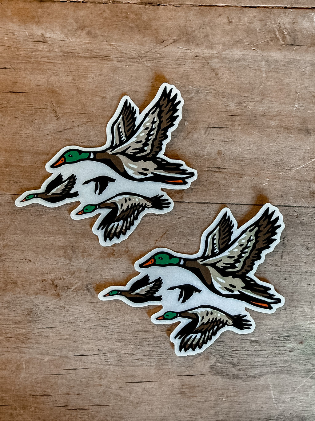 Mallard Sticker