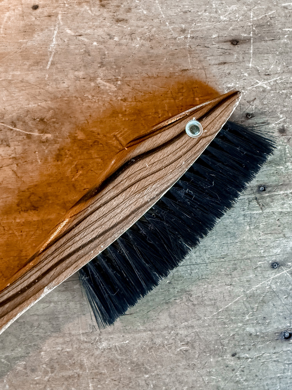 Fish Shoe Brush B